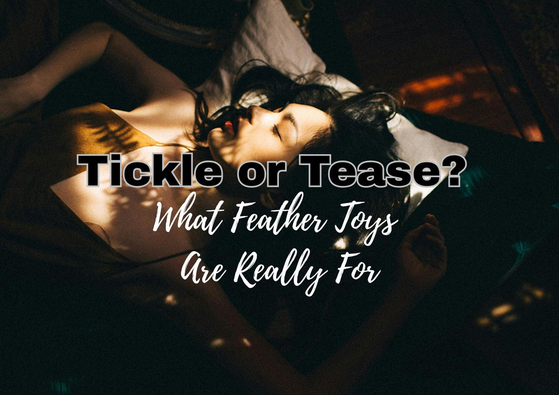 Tickle or Tease? What Feather Toys Are Really For